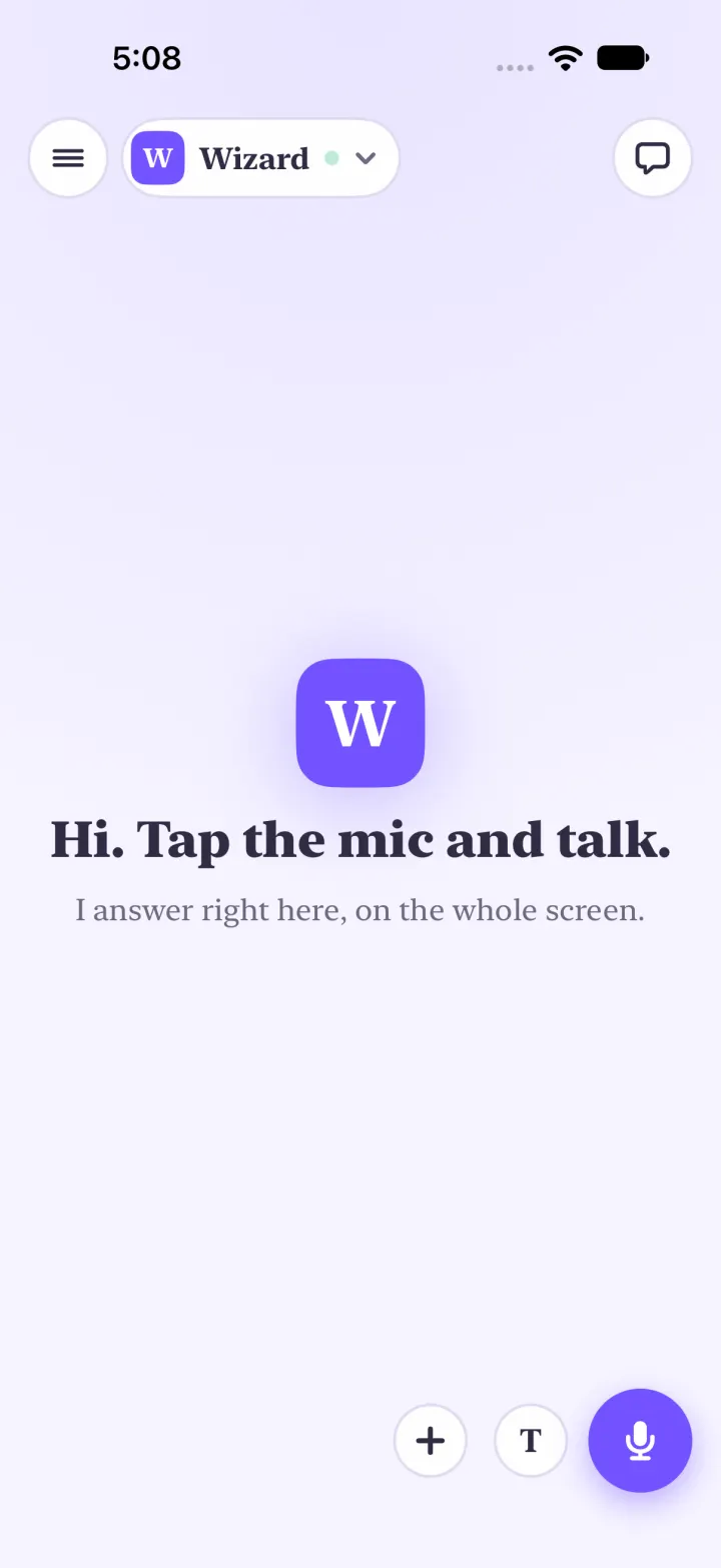 Light mode, after Cancel twice: the app is still up on Wizard's chat, Hi. Tap the mic and talk., with the plus, T and mic buttons.