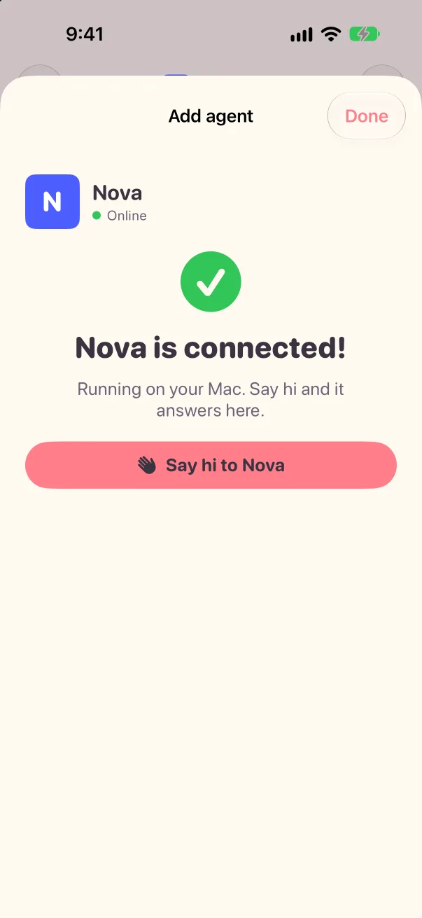 Nova is connected: a green check, Running on your Mac, and a Say hi to Nova button, light mode