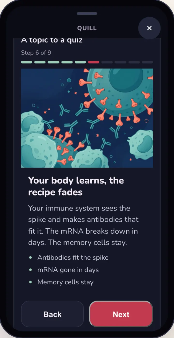 In the playground, dark: Your body learns, the recipe fades, antibodies around the spike