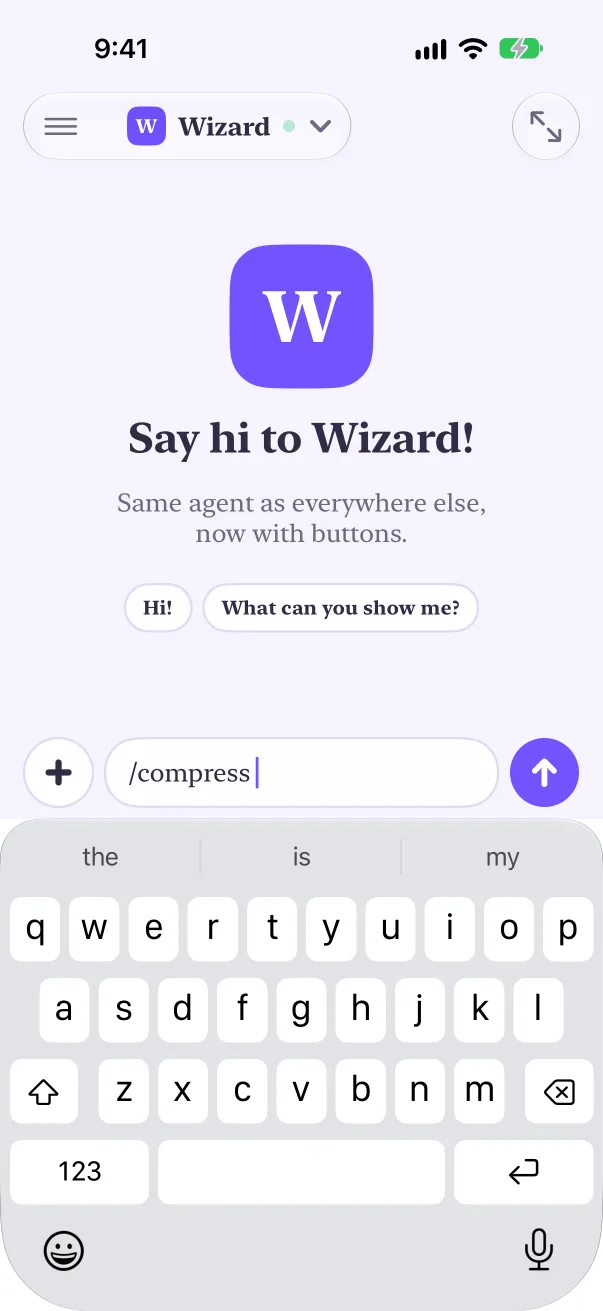 Type / for your agent's commands