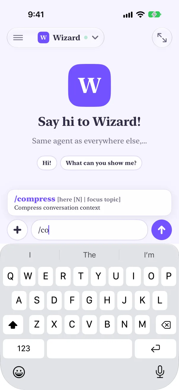 Type / for your agent's commands