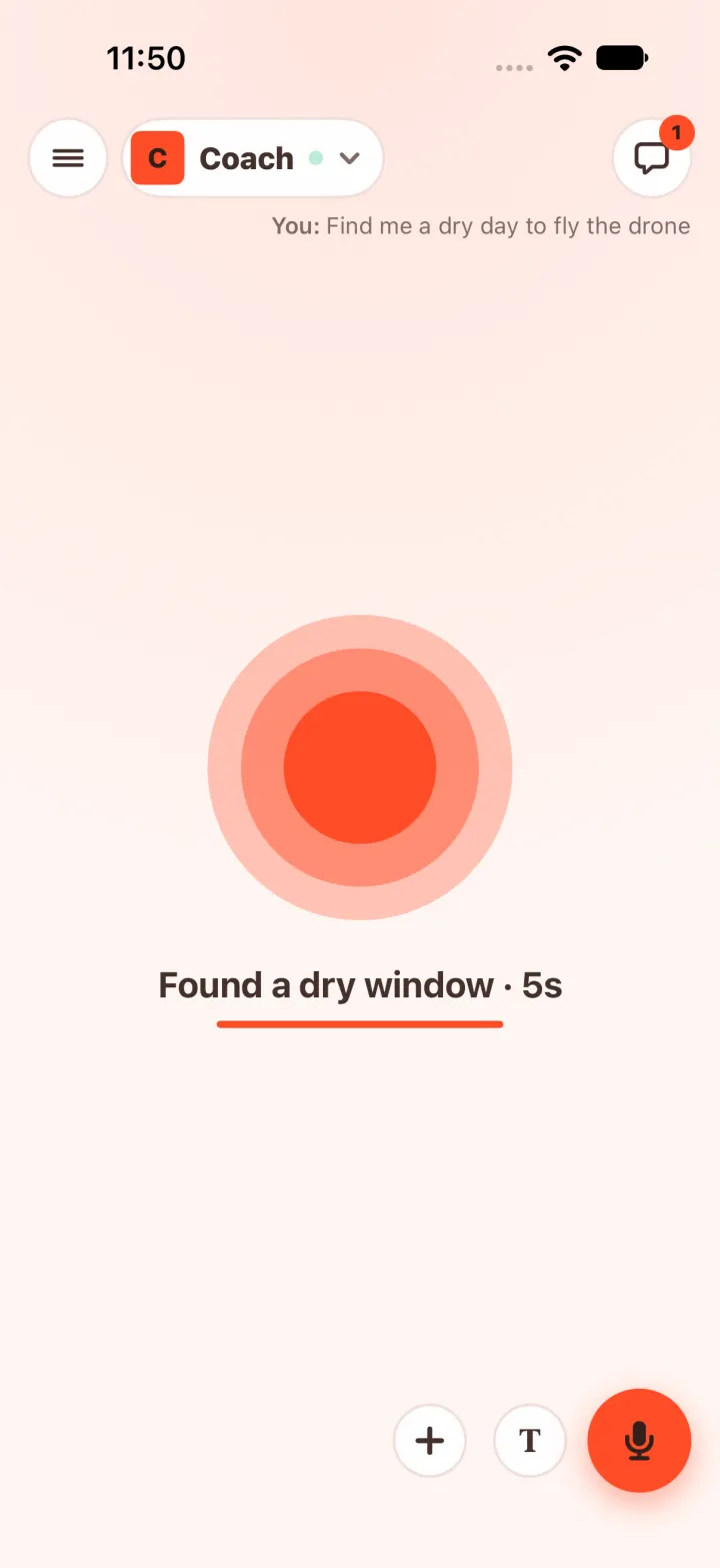Coach found a dry window: a quick, bright pulse in coral