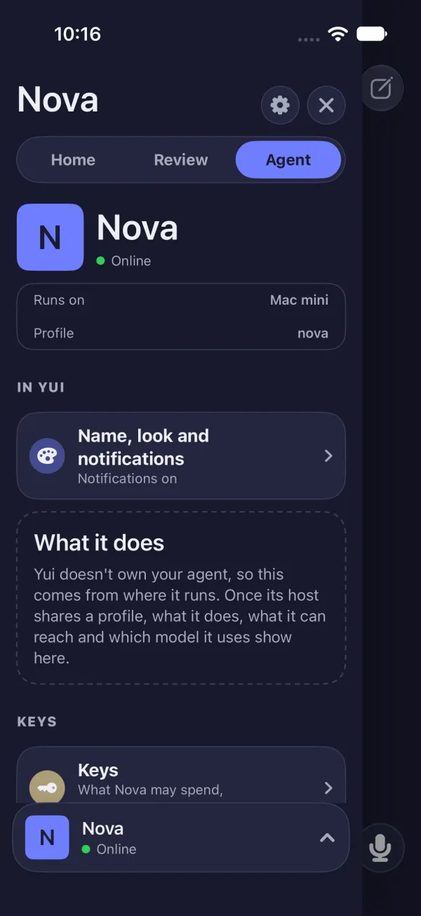 Dark mode: a host that reports nothing, with the What it does card and no second message.