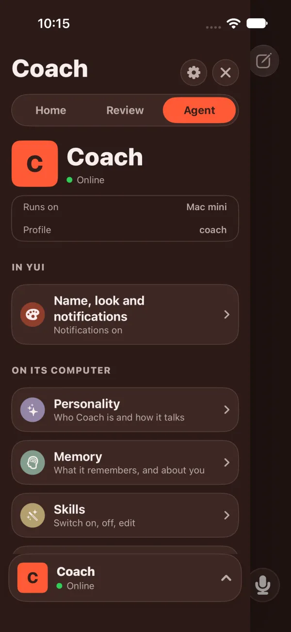 Dark mode: the same Agent tab.