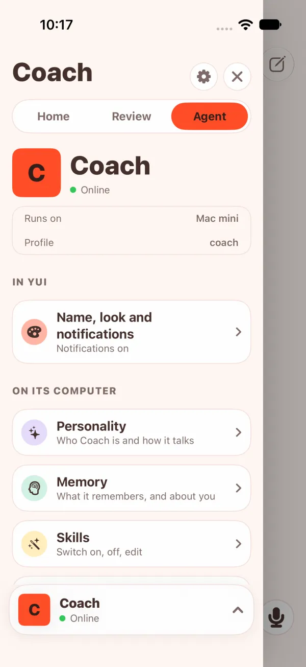 Light mode: the Agent tab of a Hermes agent online, with identity, facts, In Yui and the host areas on one scroll.