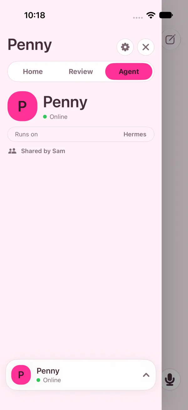 Light mode: a shared agent shows identity, facts and Shared by, no settings.