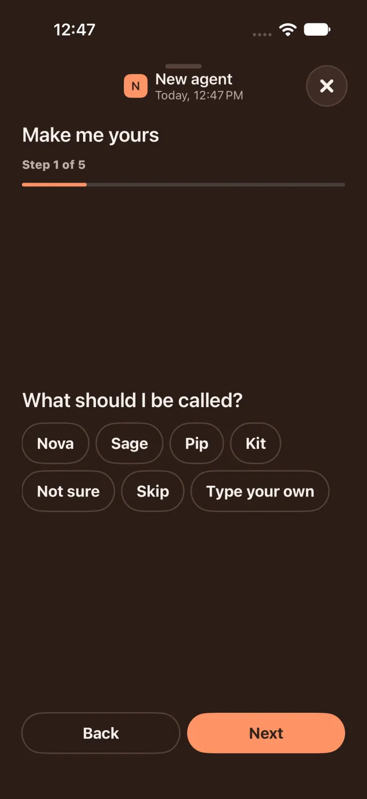 Dark mode: step 1 of 5, what should I be called, with Nova, Sage, Pip, Kit, Not sure, Skip and Type your own.
