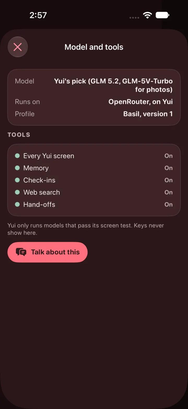 Controls, Model and tools, in dark mode: Model Yui's pick (GLM 5.2, GLM-5V-Turbo for photos), runs on OpenRouter on Yui, Profile Basil version 1, and the tools list