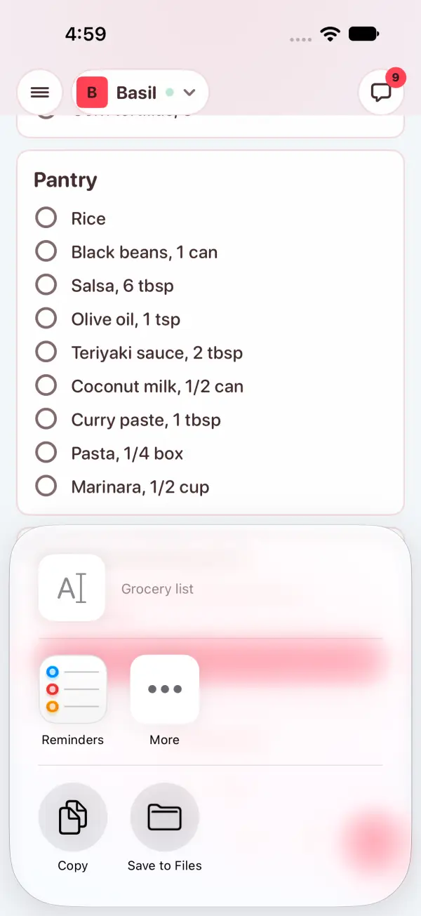 Share list on the grocery list opens the share sheet: Reminders, Copy, Save to Files
