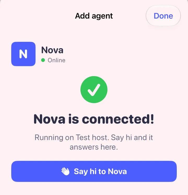 Nova is connected, running on the test host, with a Say hi to Nova button.