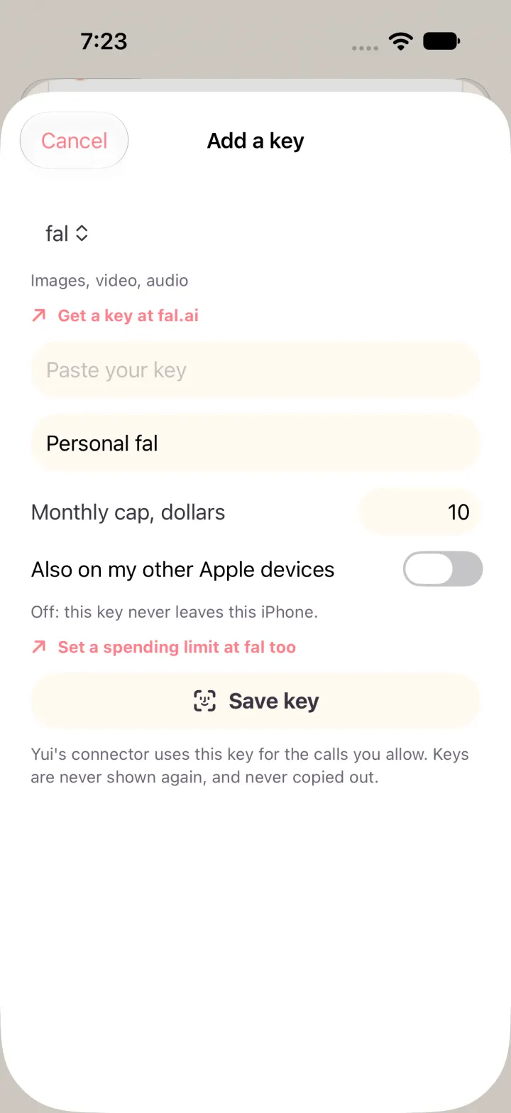The Add a key sheet: provider, paste field, name, monthly cap and the iCloud switch off
