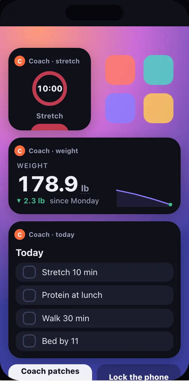 Playground mock of a home screen with three Coach widgets.