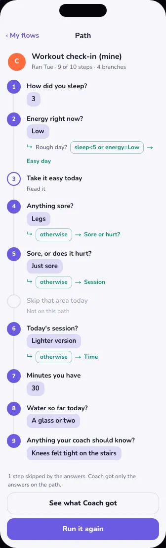 The playground mock of one run's path: nine answered steps in order, the branch each answer picked, one step skipped, and buttons to see what Coach got or run it again.